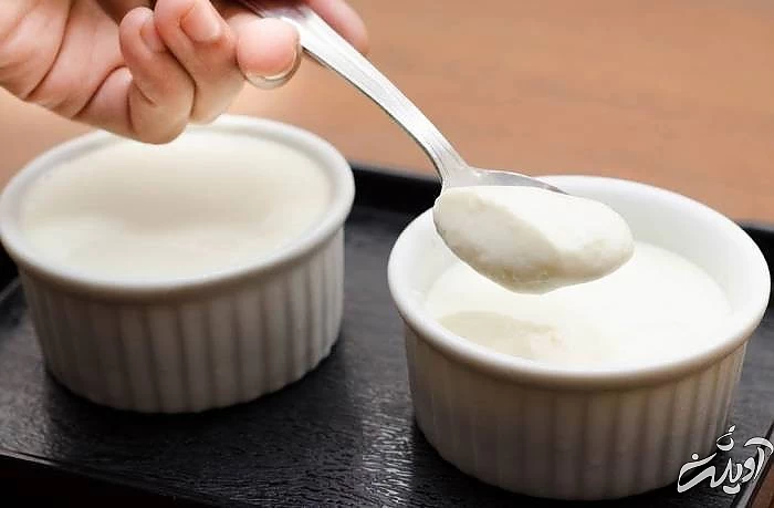 تهیه ماست خانگی سفت علت آب انداختن ماست